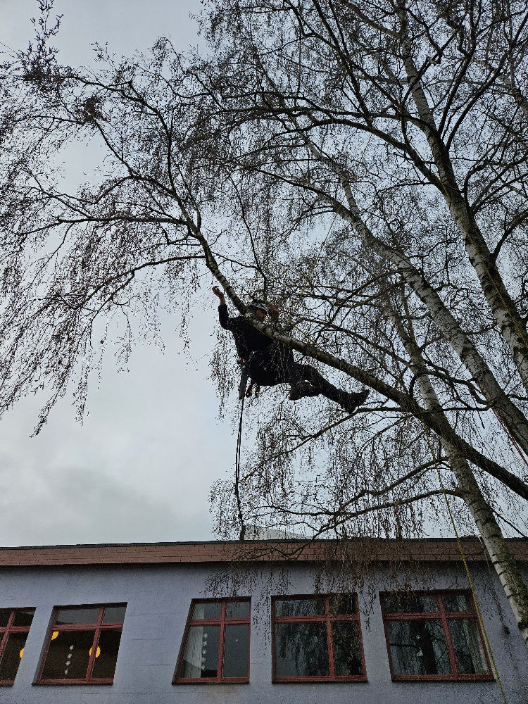 Berufsorientierungstag